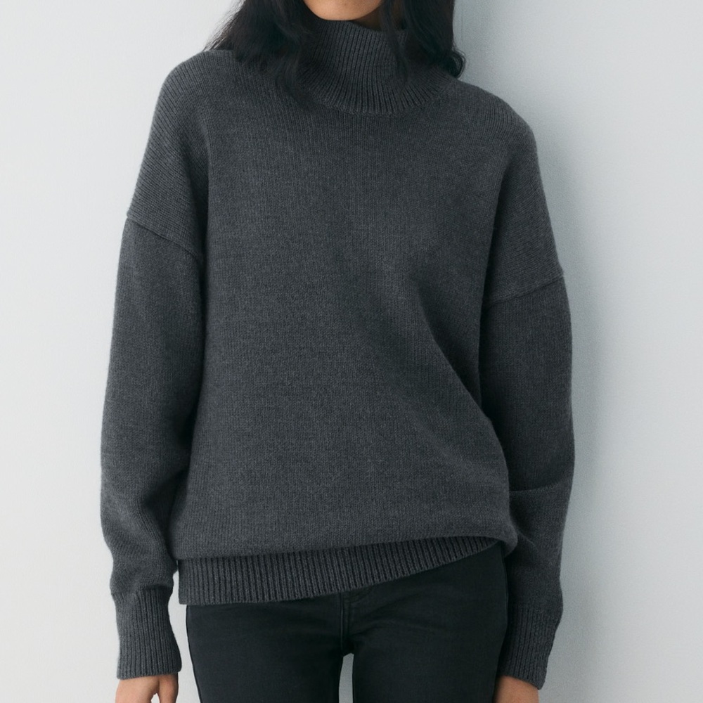 Aritzia Chunky Merino Wool Turtleneck